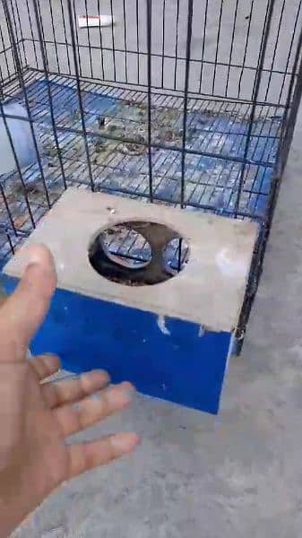 Folding Cage 2×2×1.5 for Pigeon