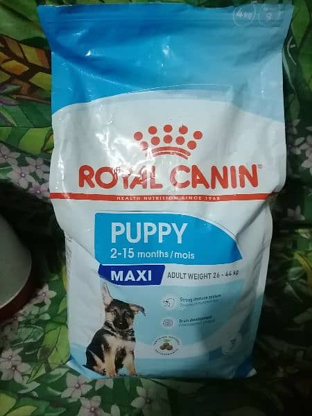Royal canin _ for dogs like german shepherd etc 1 to 6 Months 2