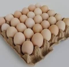 desi hen eggs