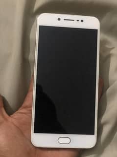 vivo y 67 4 64 all ok 10 bby 100 condition not a single fault