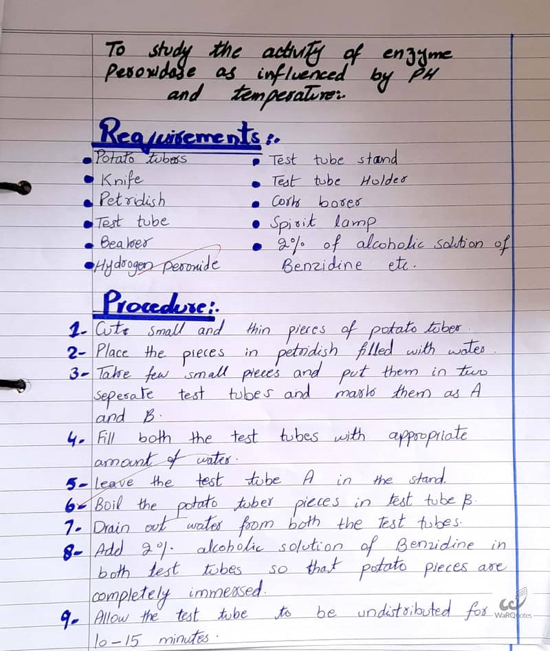 Handwritten assignment work 10