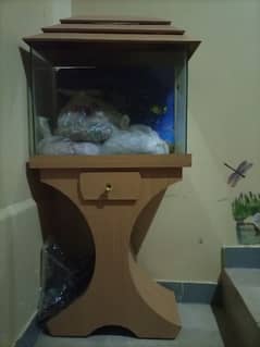 fish aquarium