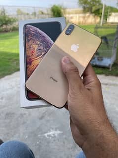 Xs Max 256Gb Dual Approved