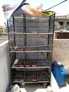 12 Portions Birds Cage For Sale