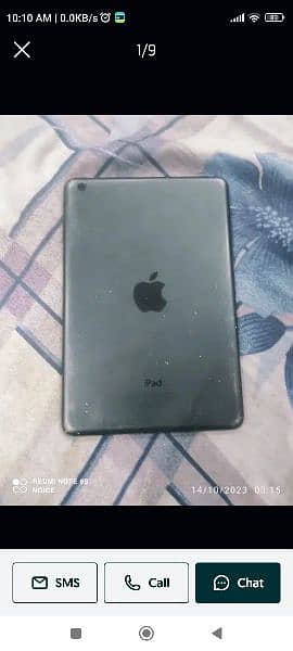iPad mini 1 0