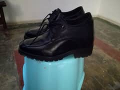 hight increase shoes
