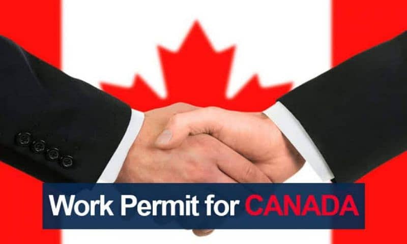 Italy work visa is done on bases, Canada free visa ticket 0