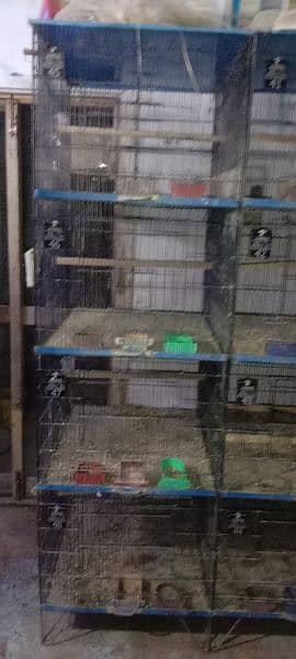 Brids cage 2