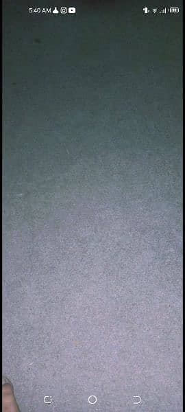 carpet good condition 03263828808 3