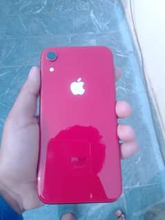 i phone XR 64GB non pta water pack