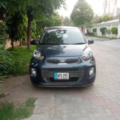 picanto automatic variant 2019 model