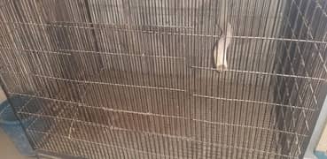 raw parrot cage 0