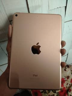 ipad mini 5