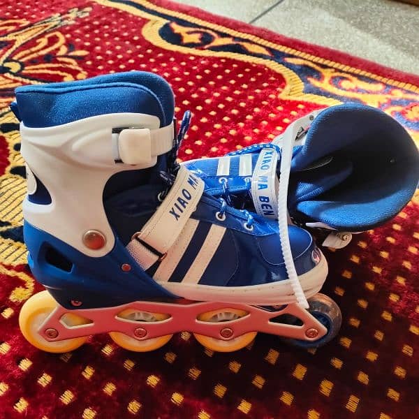 Skating Shoes with accessories 3