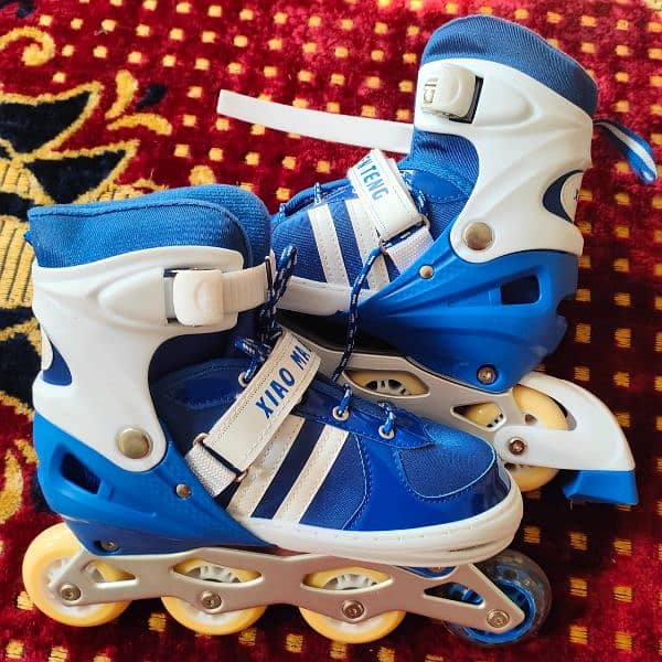 Skating Shoes with accessories 5