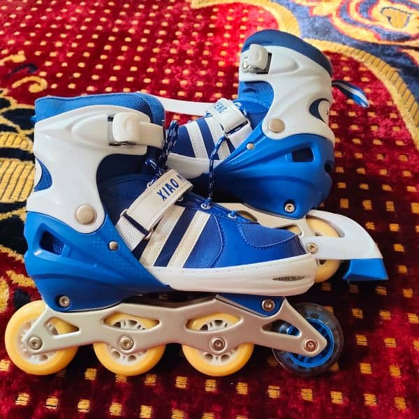Skating Shoes with accessories 6