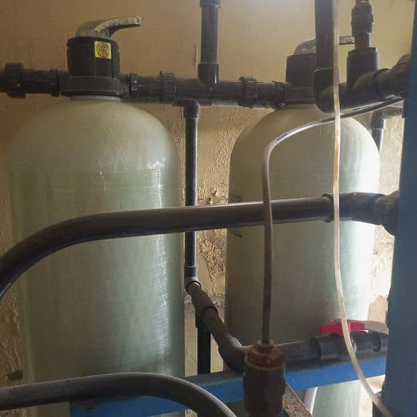 water plant for sell 1