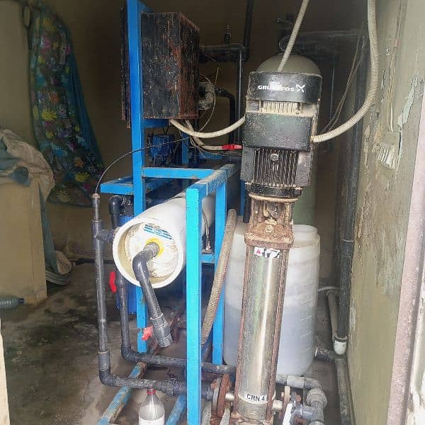 water plant for sell 2