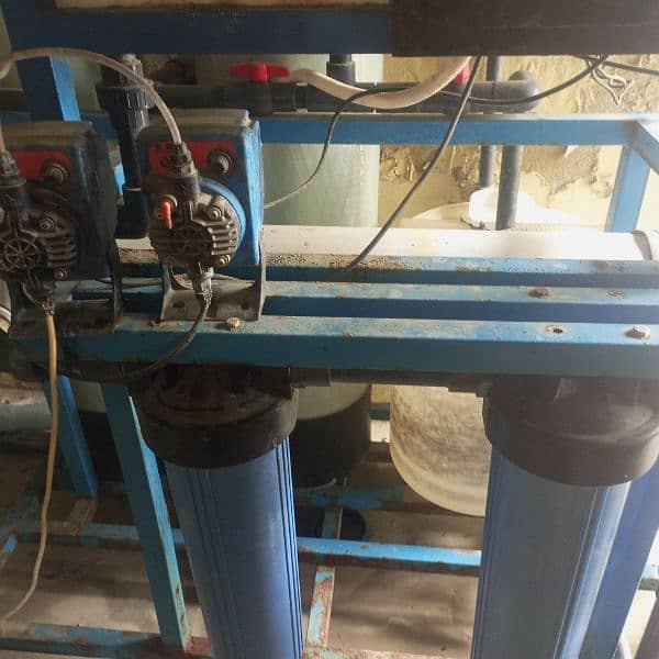 water plant for sell 3