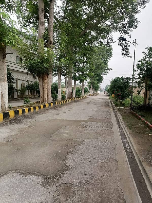 5 Marla Single Storey House Available for Sale GulBerg l Town Mardan. 16
