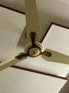 Decent 56” ceiling fans