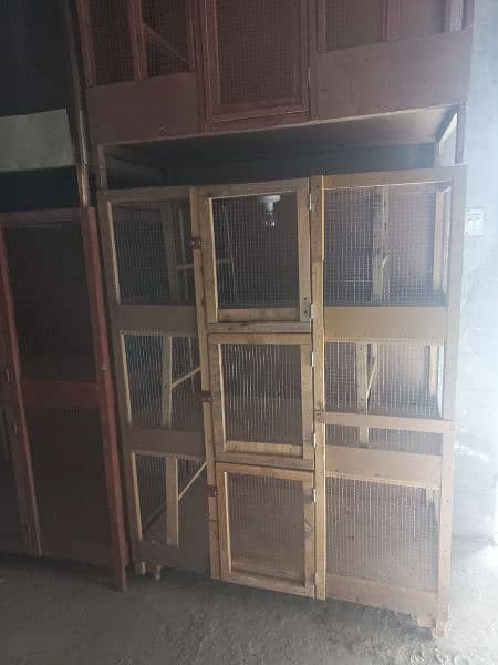Low price, Aseel Top class,  active and healthy chiks and cages Sales 19