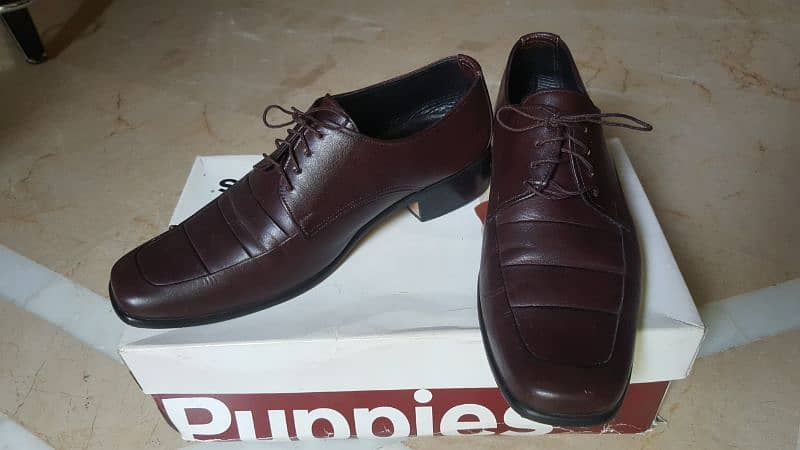 Brown Formal Shoes size 7 Clean condition 2