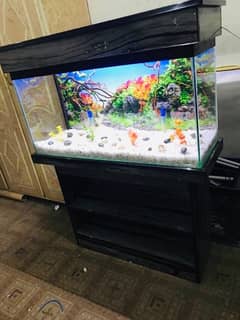 3fit brand new fish aquarium