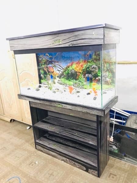 3fit brand new fish aquarium 1