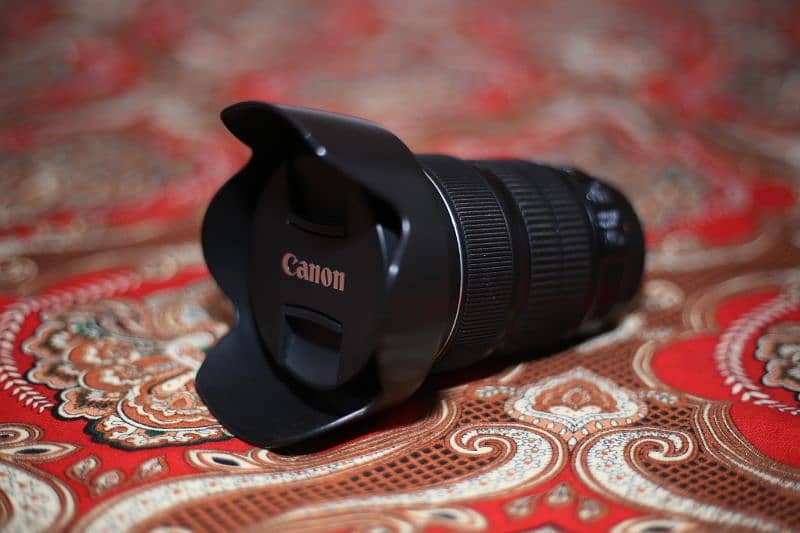 Canon 24×105mm STM Lens. . 5