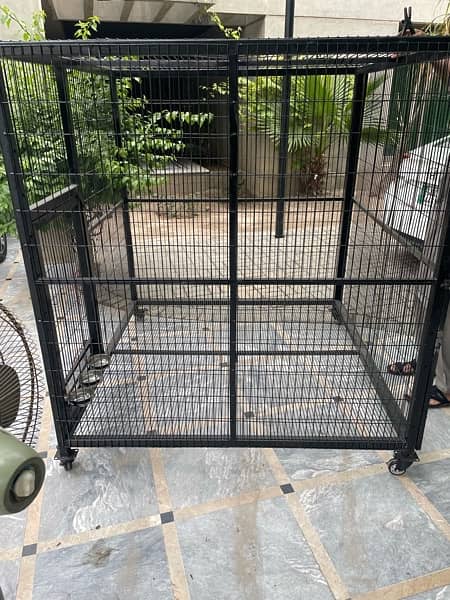 cage for macaws 2