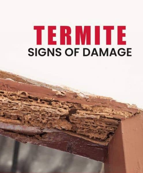 Deemak Control Services, anti termite treatment with warranty 0