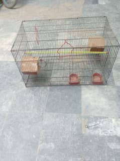 breeder cage hy