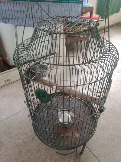Raw parrot African grey parrot cage