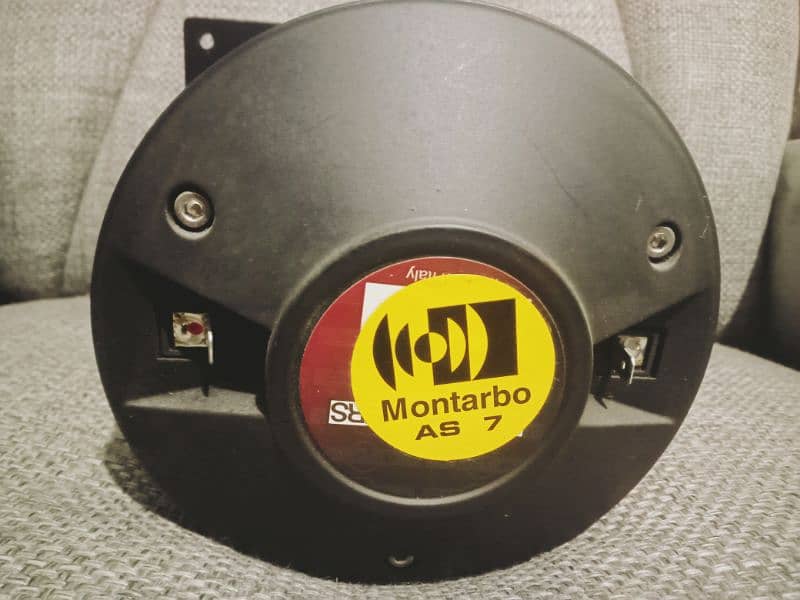 Montarbo-Powered Outdoor DJ Speakers 6