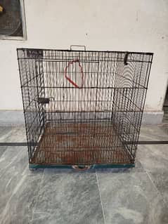 Bird Cage 2 x 2 ft for sale
