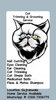 Cat Trimming Available in Gujranwala