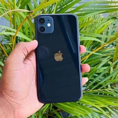 IPHONE 11 NON PTA WATERPACK