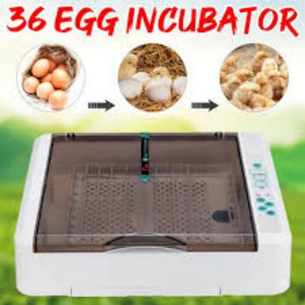 36 eggs imported branded incubator hhd brand 0