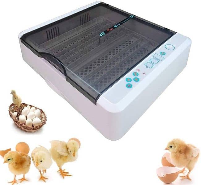 36 eggs imported branded incubator hhd brand 3