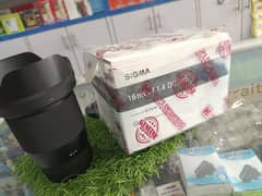 sigma 16mm 1.4 lens