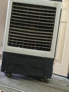DC 12 volt cooler fan with supply