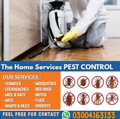 Termite Control, pest Spray, Deemak Control, Dengue spray,  Beds bug