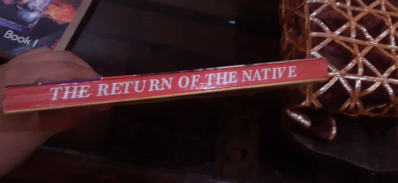 the return of the native 2
