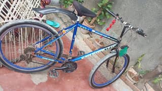 whiling cycle for sall all ok hai