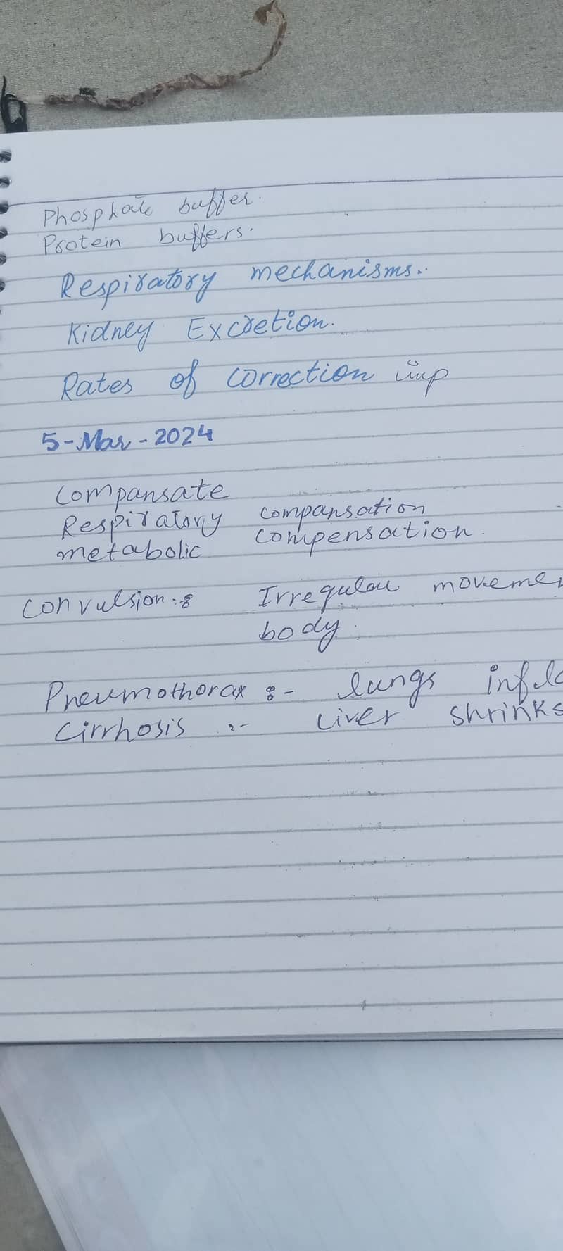 Assignment hand writing 13