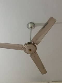 used ceiling fan for sale