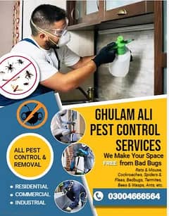 Termite Control, pest Spray, Deemak Control, Dengue spray, Beds bug