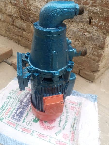 Shahzad worm pump 220v Ac 2