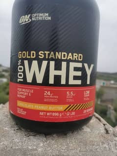 gold standard Whey protein